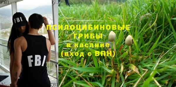 индика Алзамай