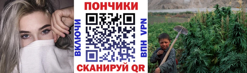 купить наркотик  Щучье  Каннабис сатива 